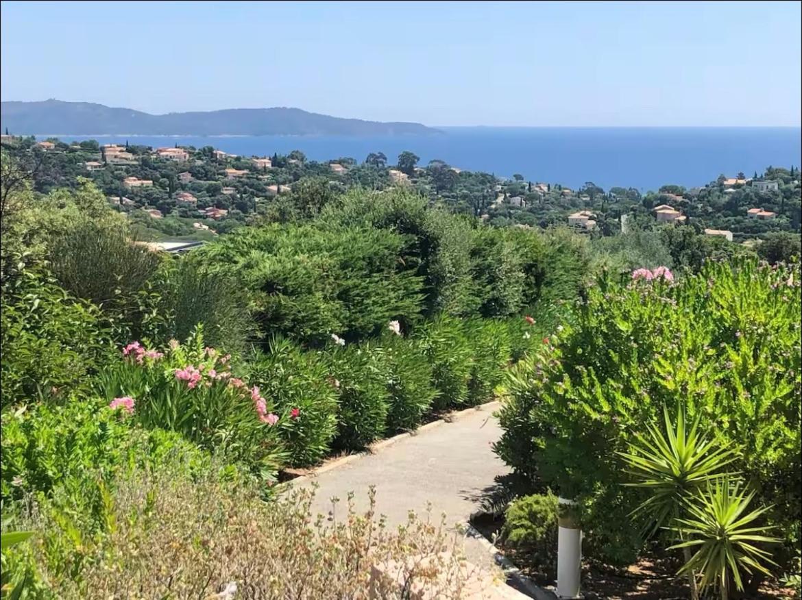 Terrasse De 30M2 Vue Mer Panoramique 1 Chambre Lejlighed Cavalaire-sur-Mer Eksteriør billede